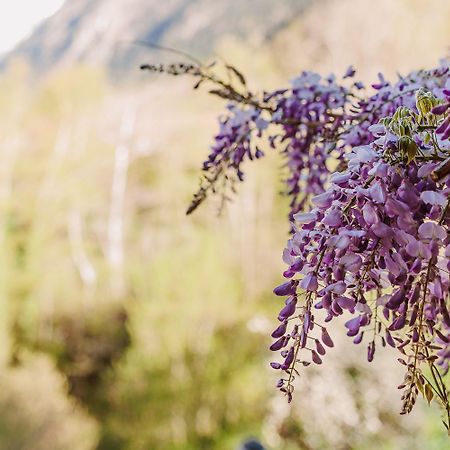 Chambre Ou Gite Dans Une Maison De Montagne - De Suzon A Zelie Entraigues  Buitenkant foto
