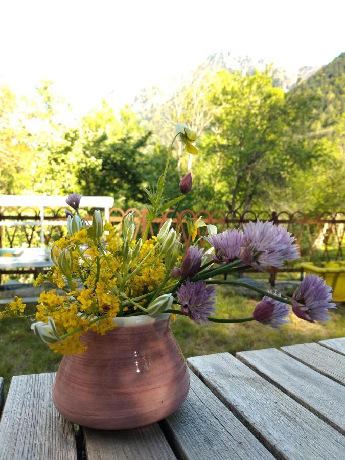 Chambre Ou Gite Dans Une Maison De Montagne - De Suzon A Zelie Entraigues  Buitenkant foto