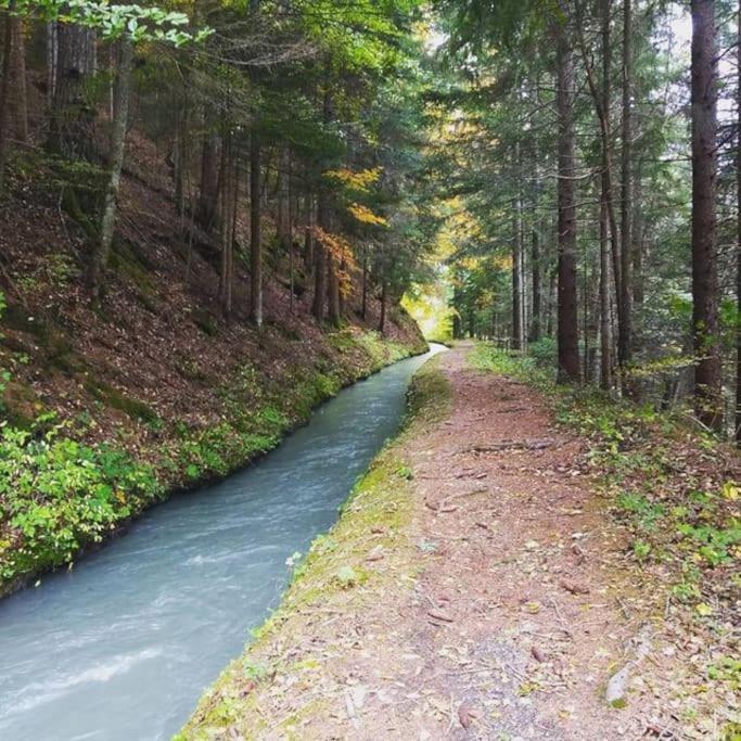 Chambre Ou Gite Dans Une Maison De Montagne - De Suzon A Zelie Entraigues  Buitenkant foto