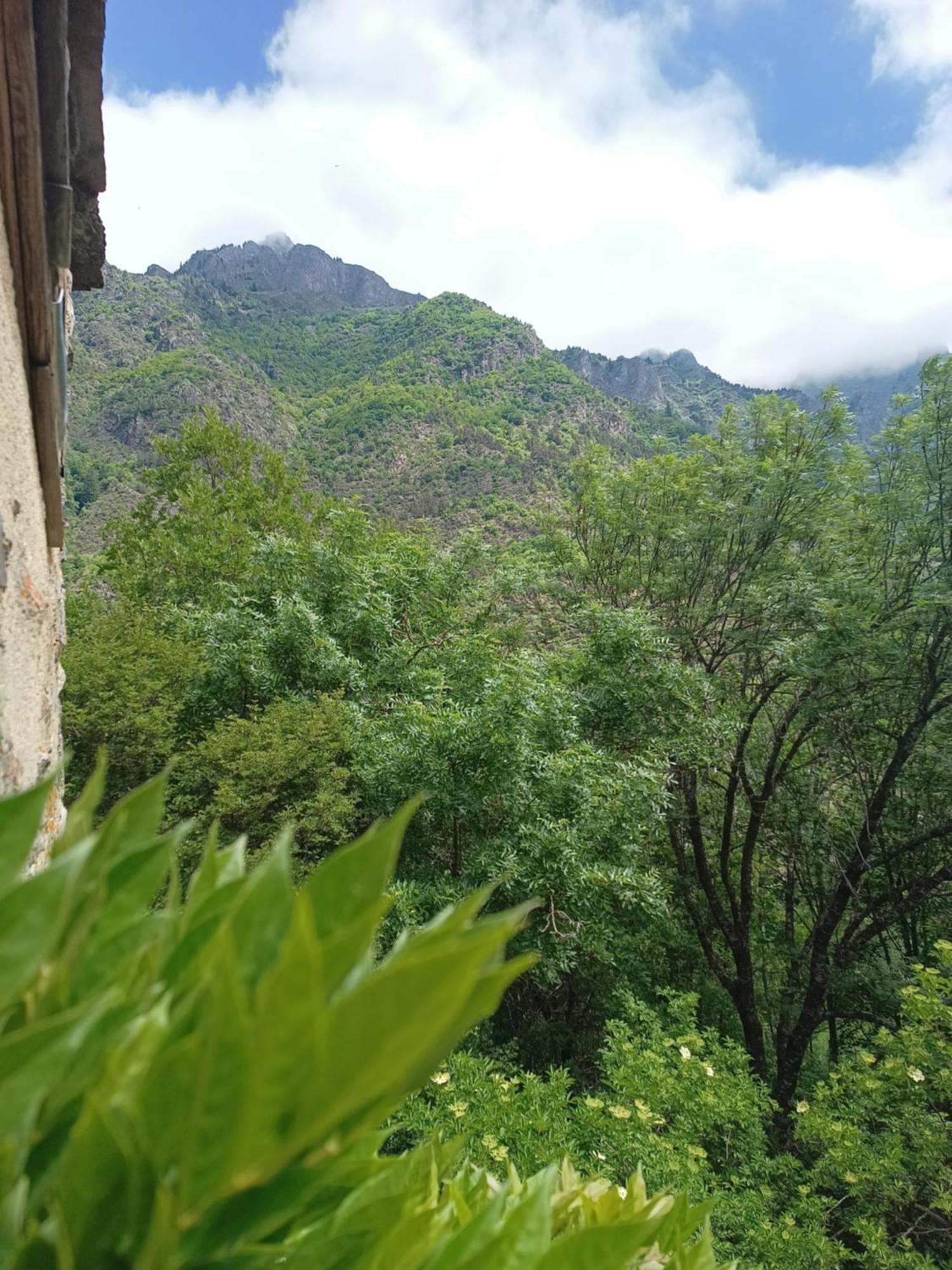 Chambre Ou Gite Dans Une Maison De Montagne - De Suzon A Zelie Entraigues  Kamer foto