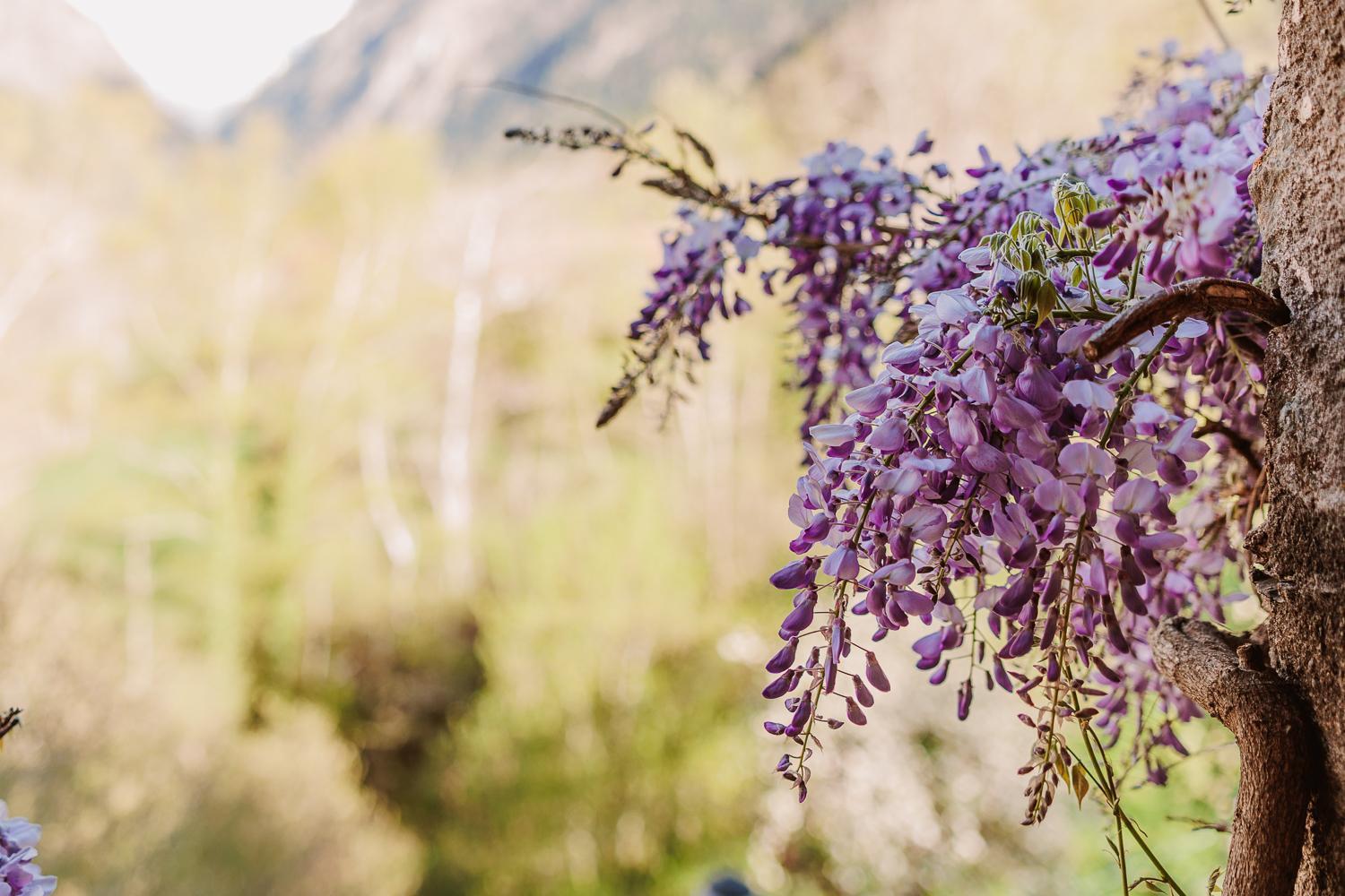 Chambre Ou Gite Dans Une Maison De Montagne - De Suzon A Zelie Entraigues  Buitenkant foto